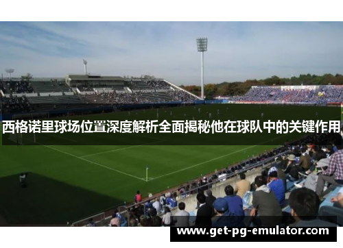 西格诺里球场位置深度解析全面揭秘他在球队中的关键作用