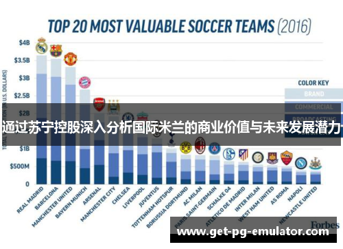 通过苏宁控股深入分析国际米兰的商业价值与未来发展潜力