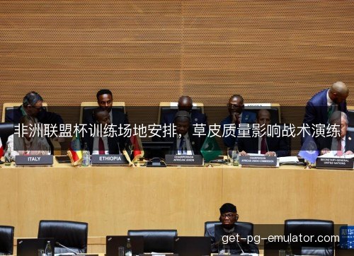 非洲联盟杯训练场地安排，草皮质量影响战术演练